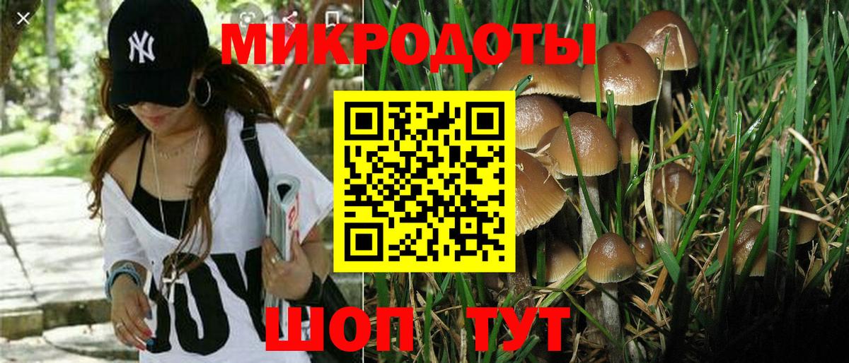 Валуйки  Галлюциногенные грибы Psilocybe  Вход с VPN  Галлюциногенные грибы Psilocybine cubensis 